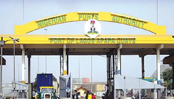 NPA Reports 1,085% Export Container Surge In Q3