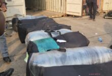 Apapa Customs, NDLEA Intercept 13 Bags Of Canadian Loud Weighing 347.5kg