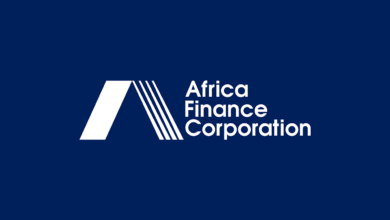 Africa’s $4tn Capital Fails To Create Jobs – AFC
