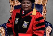 Guarding the Borders: The Nigerian Customs and National Security in the Early 21st Century