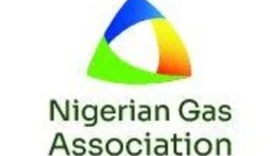 NGA Pushes Regional Gas Collaboration To Unlock Africa’s Potential