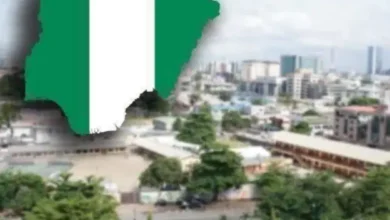 India Turns To Nigeria, Other African Countries For Soybeans