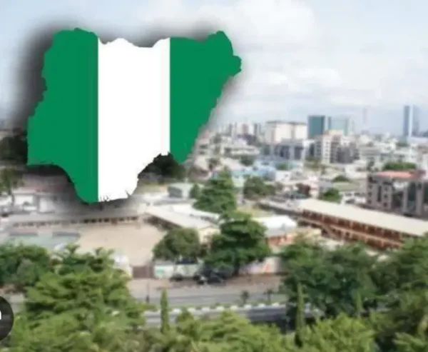 India Turns To Nigeria, Other African Countries For Soybeans