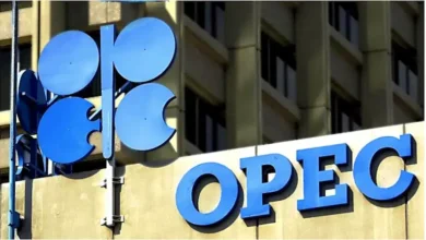 Nigeria’s Oil Exploration Declines 41.7% As Rig Count Falls — OPEC