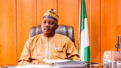 N33.8bn Fraud: Court Jails Ex-Power Minister Mamman 75 Years