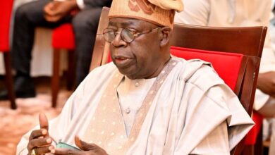 Tinubu Reshuffles Power Sector, Appoints New Minister, Adviser