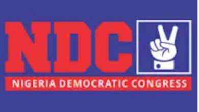NDC Rejects Personality Cult Politics, Mandates Disclosure Of Campaign Funds