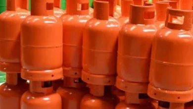 Domestic Gas Sales Rise 30% On Reforms – Report