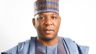 FG Moves To Revive Delta Steel With $1.3bn