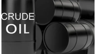 FG Offers 70:30 Profit Oil Split For New Fields