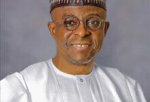 The Blue Economy Engine: Decoding The Unstoppable Rise Of Nigeria’s Maritime Gateways