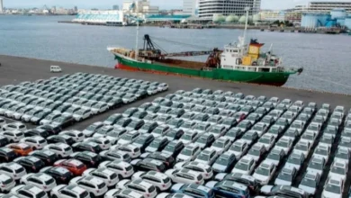 Vehicle Imports Rise 42.5% After Levy Reduction