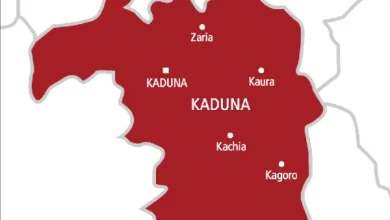 FG Begins New Power Project In Kaduna